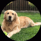 Proprietar: Eduard photo