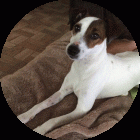 Proprietar: Daniel photo